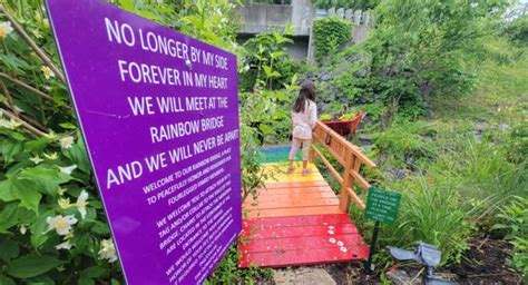 Real Life Rainbow Bridge Hidden In Enchanted Mountain Wonderland In