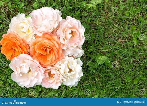 Bouquet Of Roses On A Green Grass Flat Lay Stock Photo Image Of