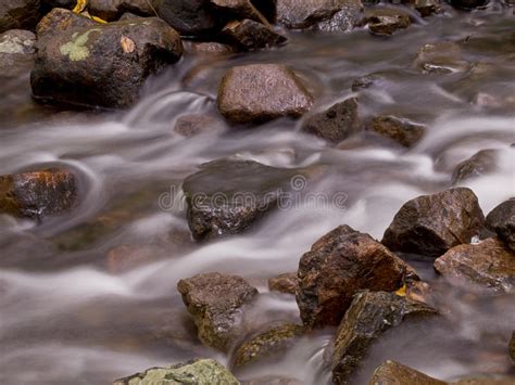Flowing Brook Stock Photo Image Of Environment North 46271404