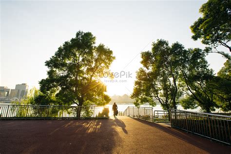 Park At Sunset Picture And Hd Photos Free Download On Lovepik