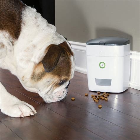Remote Dog Treat Dispenser Petagadget