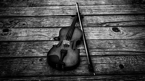 Violin Black And White Music 4k Photo Hd Wallpapers