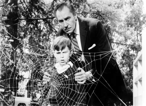 The Fly Charles Herbert Vincent Price 1958 Spider Web Tm And Copyright