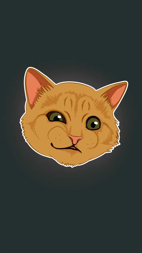 Cat Meme Wallpapers Top Free Cat Meme Backgrounds