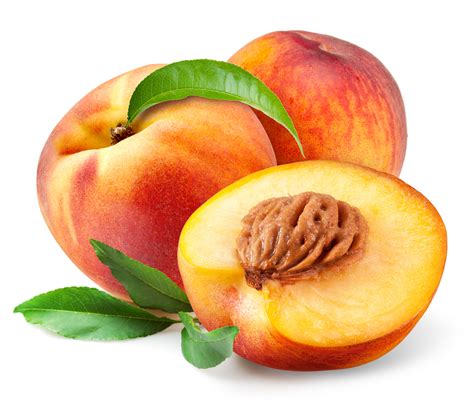Sweet September Yellow Peach Medium Plus 3pcs — Momobud