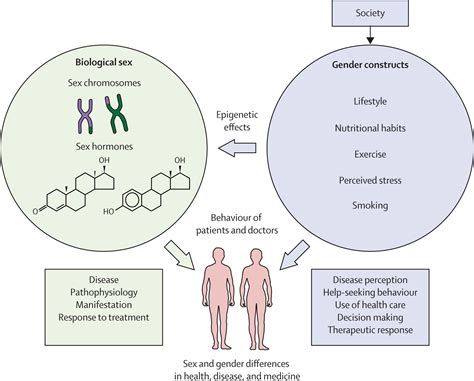 Sex And Gender Modifiers Of Health Disease And Medicine The Lancet