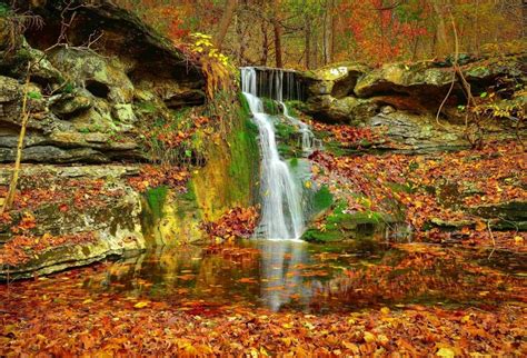 Laeacco Autumn Fallen Leaves Forest Waterfall Landscape