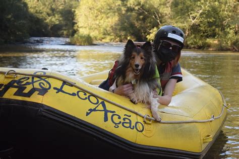 Guia Pet Friendly Bichinhos São Bem Vindos Em 56 Cidades Governo Do