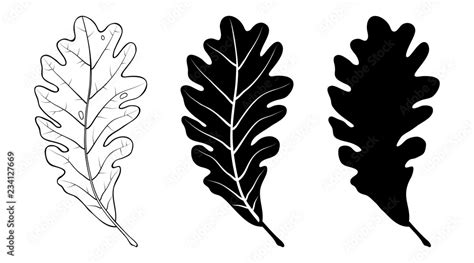 Oak Leaf Linear Silhouette Isolated On White Background Vector