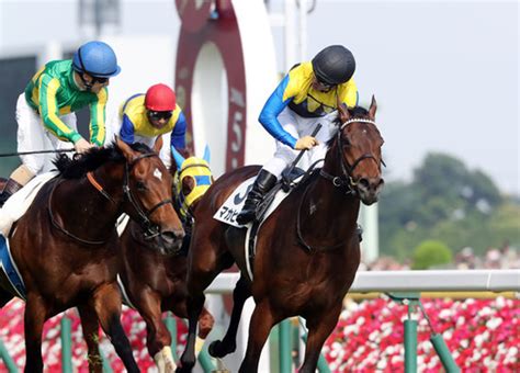 101,715 likes · 985 talking about this. デビュー間近。ダービー馬マカヒキの全弟、ウーリリはどれ ...
