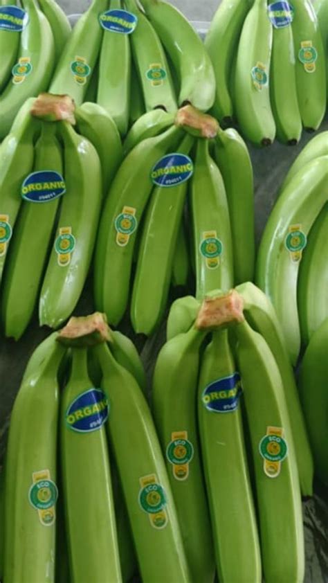 Organic Bananas Fairtrade America