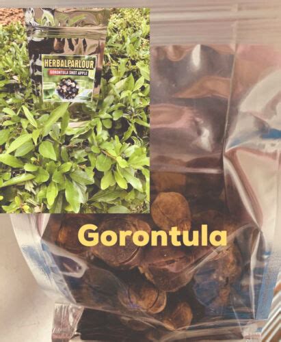 Azanza Garckeana Snot Apple Gorontula 14 Dried Fruits £10
