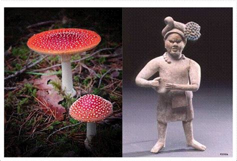 Mysterious Ancient Mushrooms In Myths And Legends Sacred Feared And