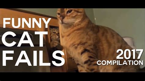 Funny Cat Fails Compilation 2017 Youtube