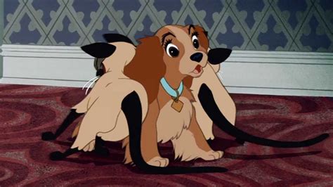 Lady And The Tramp The Siamese Cat Song Disney Movie Night Best Disney Songs Lady And The Tramp