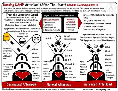 Cardiac 2 Hemodynamics Afterload Preload Nursing Kamp Stickenotes Tws