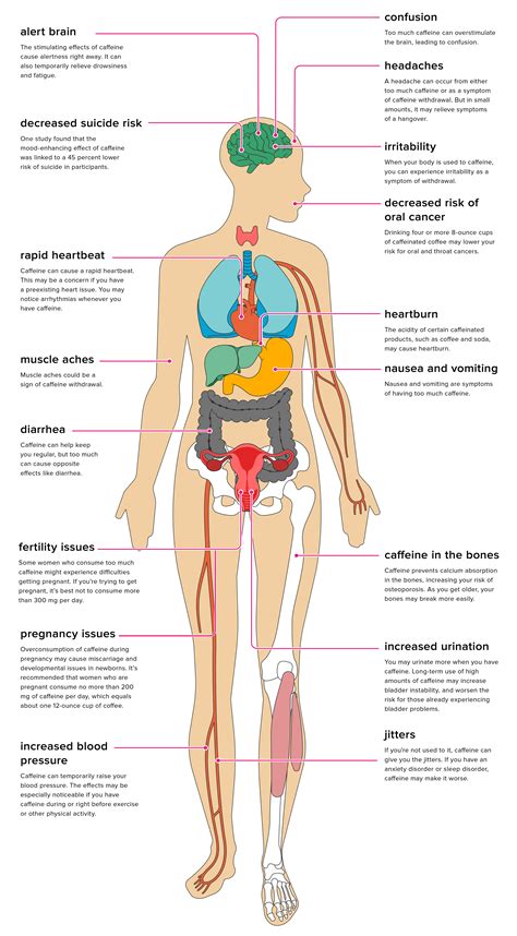 the effects of caffeine on your body