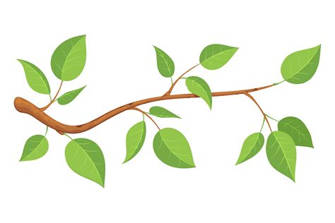 Tree Branch With Green Leaves Cartoon N Graphic By Smartstartstocker Creative Fabrica