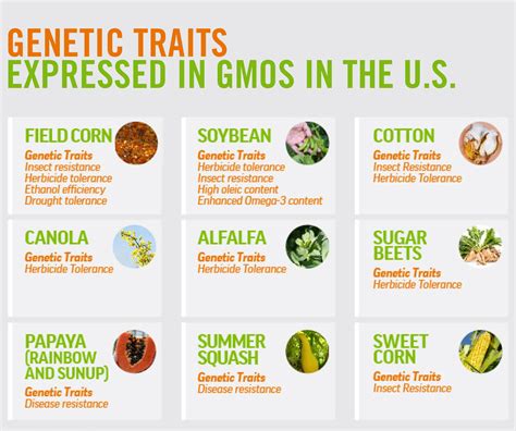 Genetic engineering provides a quicker and more precise way to achieve the same goal, in one generation rather than twenty. Genetic traits expressed in each of the 8 commercially ...