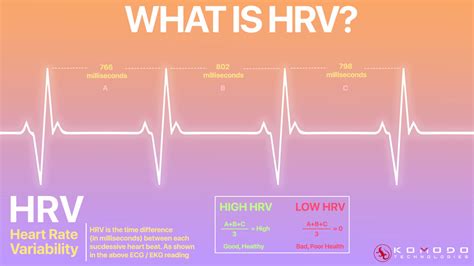 💙 💛 What You Need To Know About Heart Rate Variability In 2022