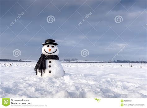 Funny Snowman In Black Hat Stock Photo Image Of Snowball 108836324