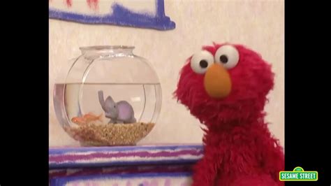 Elmos World Wild Animals Live Outside And Away From People Youtube