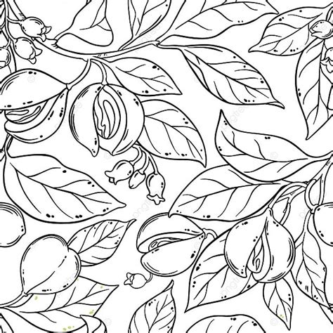 Nutmeg Seamless Pattern Herb Aroma Background Botanical Background Floral Background Image