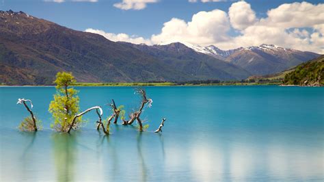 Mount Aspiring National Park Nz Holiday Accommodation And More Stayz