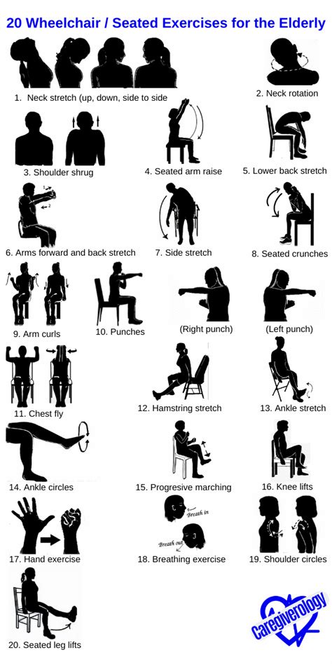 Seated Exercises For Seniors Printable