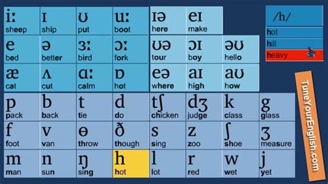 Learn 44 Phonetic Symbols Ipa In 18 Minutes Youtube Ipa Learning