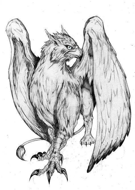 Gryphon Tatoo By Saintyak On Deviantart Mythical Creatures Drawings