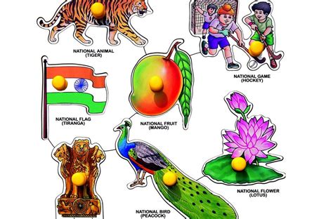 National Symbols Of India General Knowledge