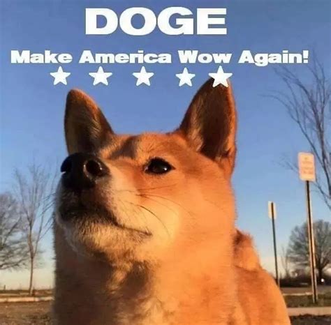 Doge 1080x1080 Doge For President Doge 1080x1080 Gamerpics Images