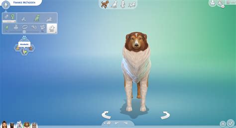 Sims 4 Dog Mods Equipmentfoo