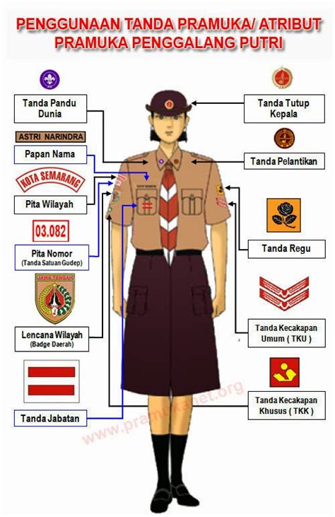 Pemasangan Atribut Pramuka Dari Siaga Sampai Pembina Kalteng Scout Com
