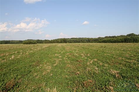 But if you want to just upload the images or videos in full size without cropping then what you can do to fix this. 38 - Buy A Farm Land and Auction Company