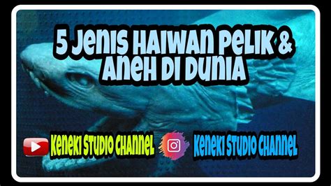 Maybe you would like to learn more about one of these? 5 Jenis Haiwan Pelik & Menakutkan Di Dunia🌍 - YouTube
