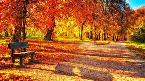 Galleria di sfondi per desktop con foto di paesaggi autunnali. Download Autumn Leaves Wallpaper Desktop #x0ray » hdxwallpaperz.com | Sfondi, Luoghi, Sfondi desktop