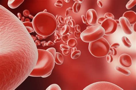 Causes Of Low High Hemoglobin Levels And How To Improve Selfdecode Labs