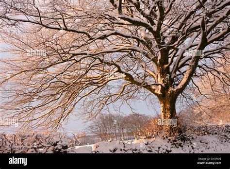 Exmoor Winter Uk Hi Res Stock Photography And Images Alamy