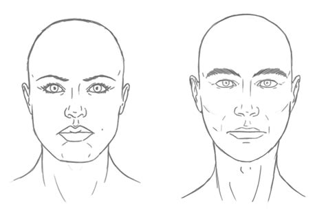 The Differences Between Male And Female Portraits Tuts