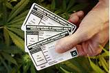 Pictures of Getting A Marijuana Card In California