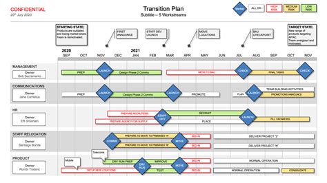 8 Business Transition Plan Template Template Free Download