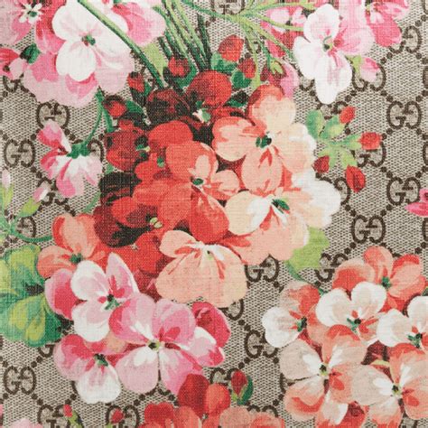 Gucci Flower Wallpapers Top Free Gucci Flower Backgrounds