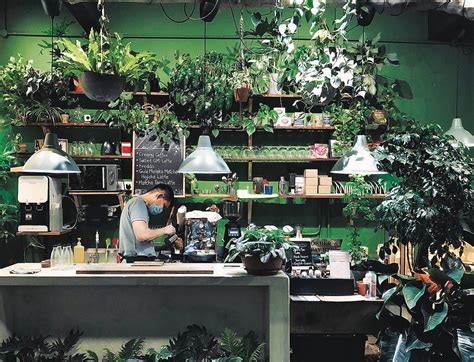 18 Cafe With Plants Kerylgilbert