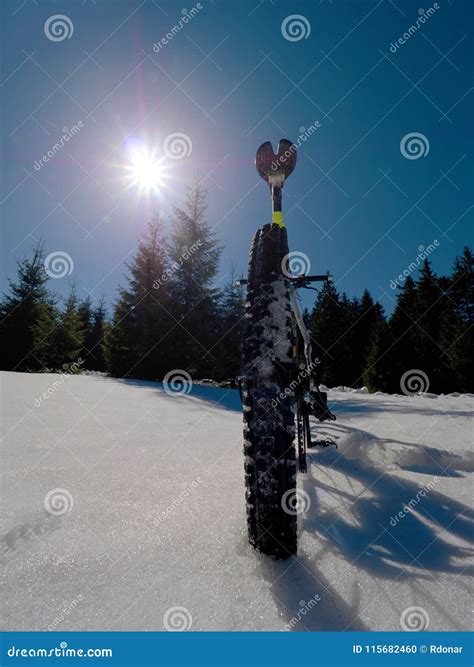 Mountain Bike In Snow Cycling On Large Tire Wheels In Fresh Snow Stock