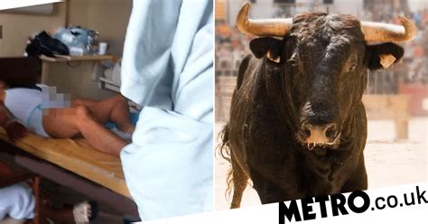 Man Has Three Day Erection After Taking Bull Breeding Stimulant