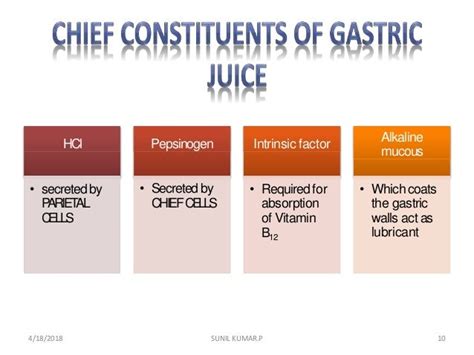 Gastric Contents Examination
