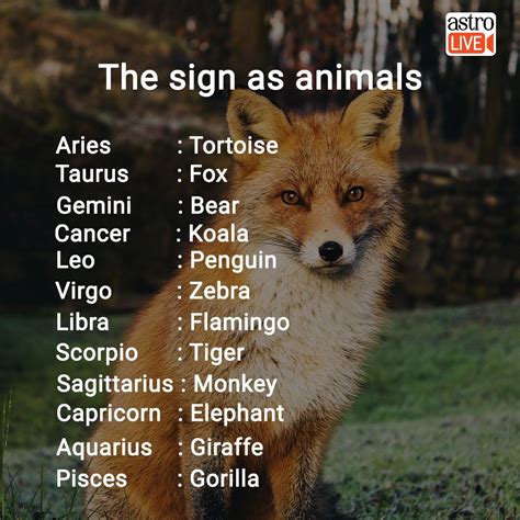 Whats Yours Zodiac Signs Animals Zodiac Signs Sagittarius Zodiac