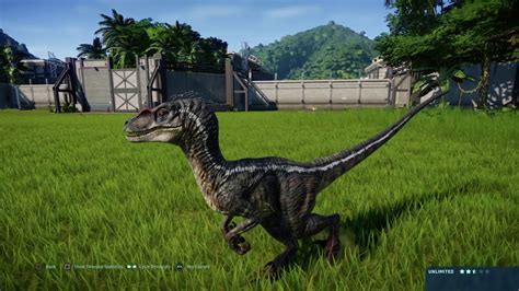 Jurassic World Evolution Jp3 Velociraptor Vs Compsognathus Pack Youtube